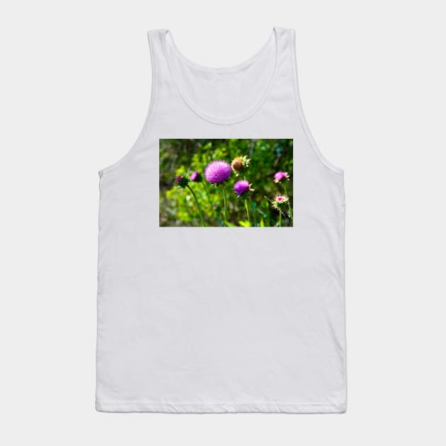 Pink Thistle Study 1 Tank Top by bobmeyers